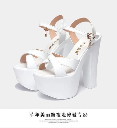 Elegant Platform Sandals for Women - Sexy High Heel Luxury Footwear